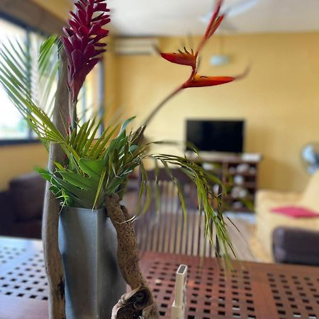 Appartement Tout Confort แซนต์-อาน ภายนอก รูปภาพ