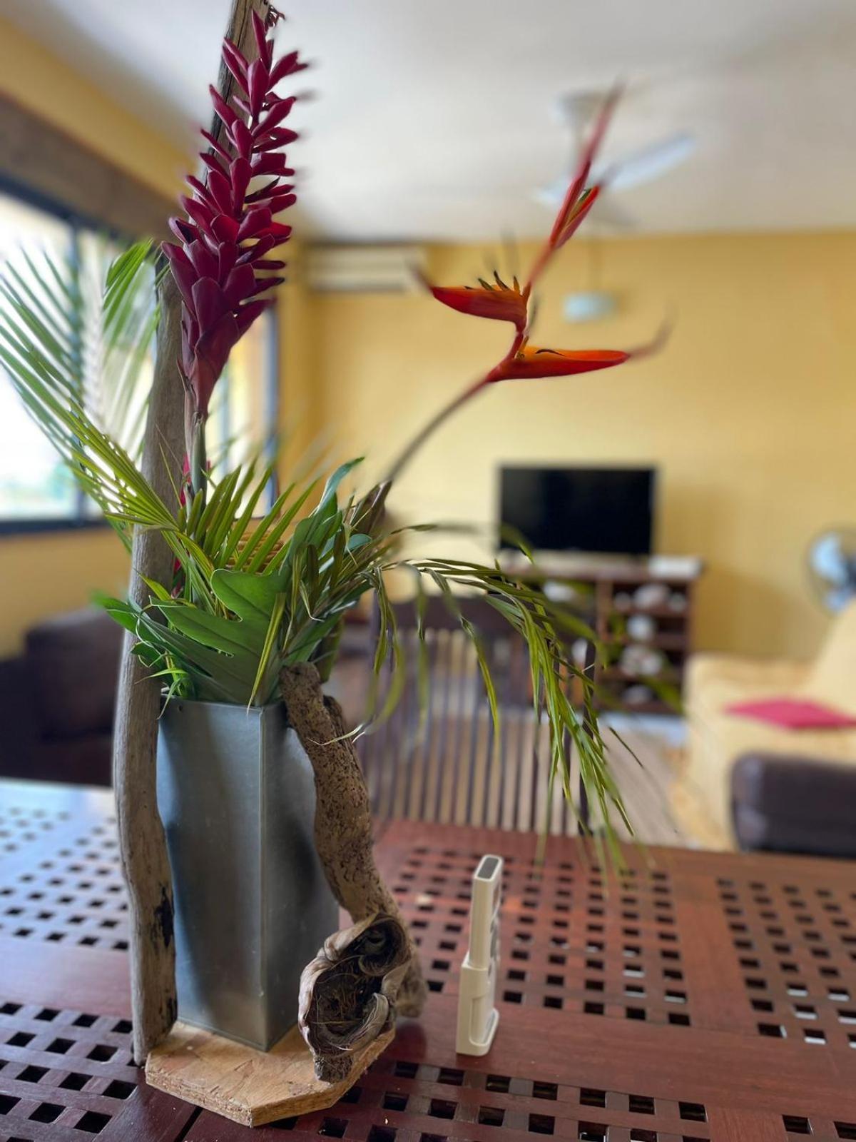 Appartement Tout Confort แซนต์-อาน ภายนอก รูปภาพ
