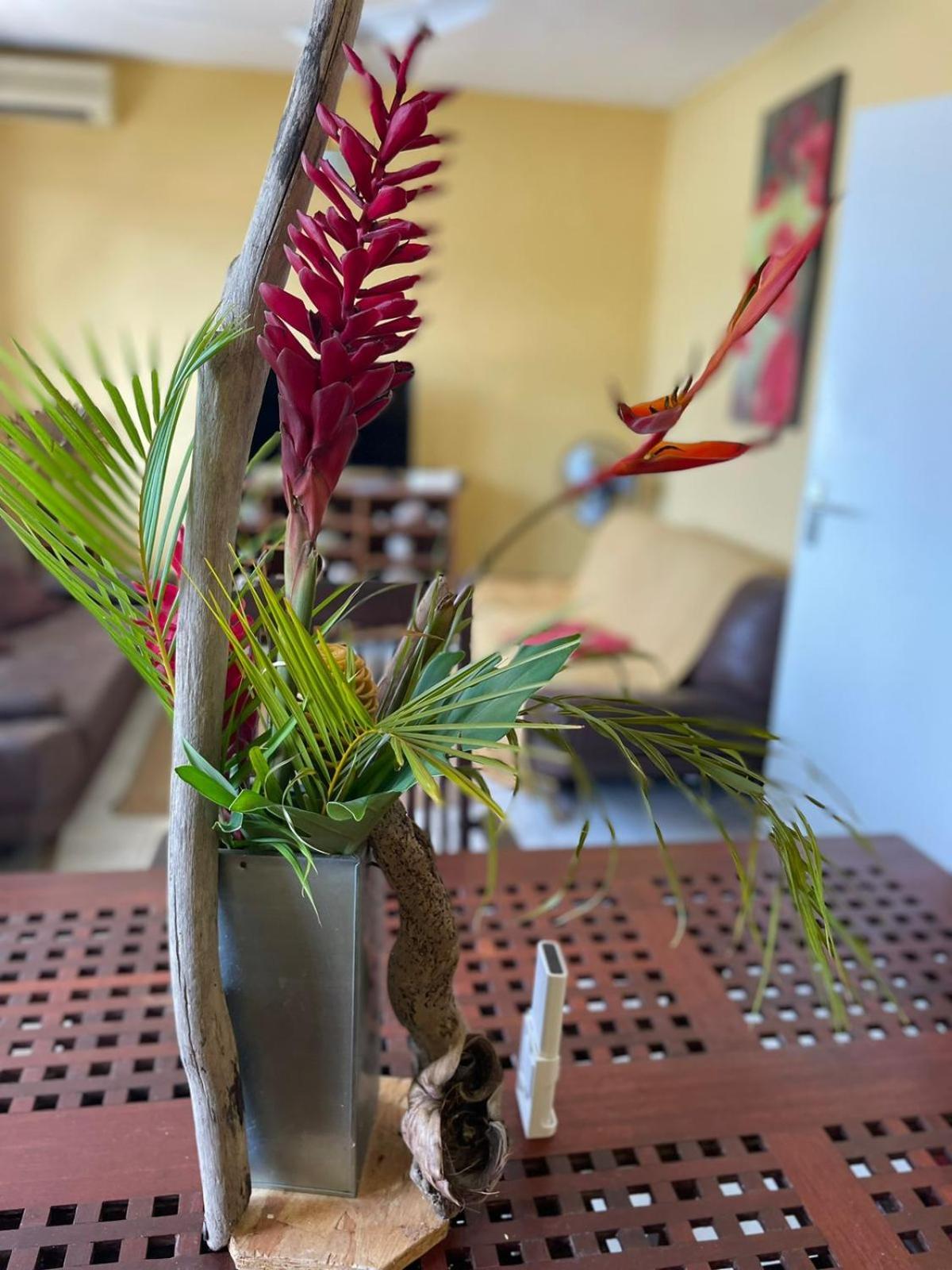 Appartement Tout Confort แซนต์-อาน ภายนอก รูปภาพ